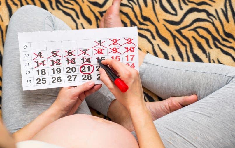 Calendrier de grossesse : suivi complet, mois par mois et semaine par  semaine